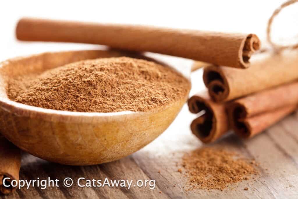 is cinnamon safe for cats?