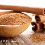 is cinnamon safe for cats?
