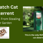 Catwatch Cat Deterrent