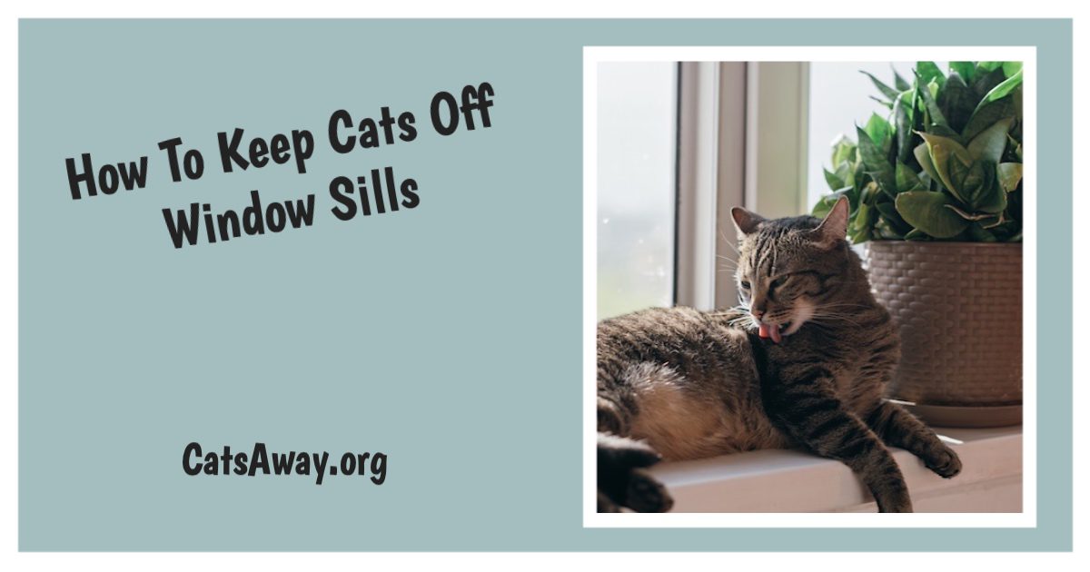 keep cats off window sills