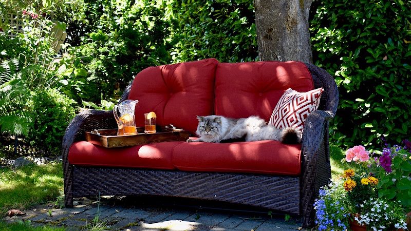 how to get cat hair off outdoor cushions