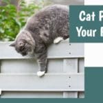 cat proof your fence