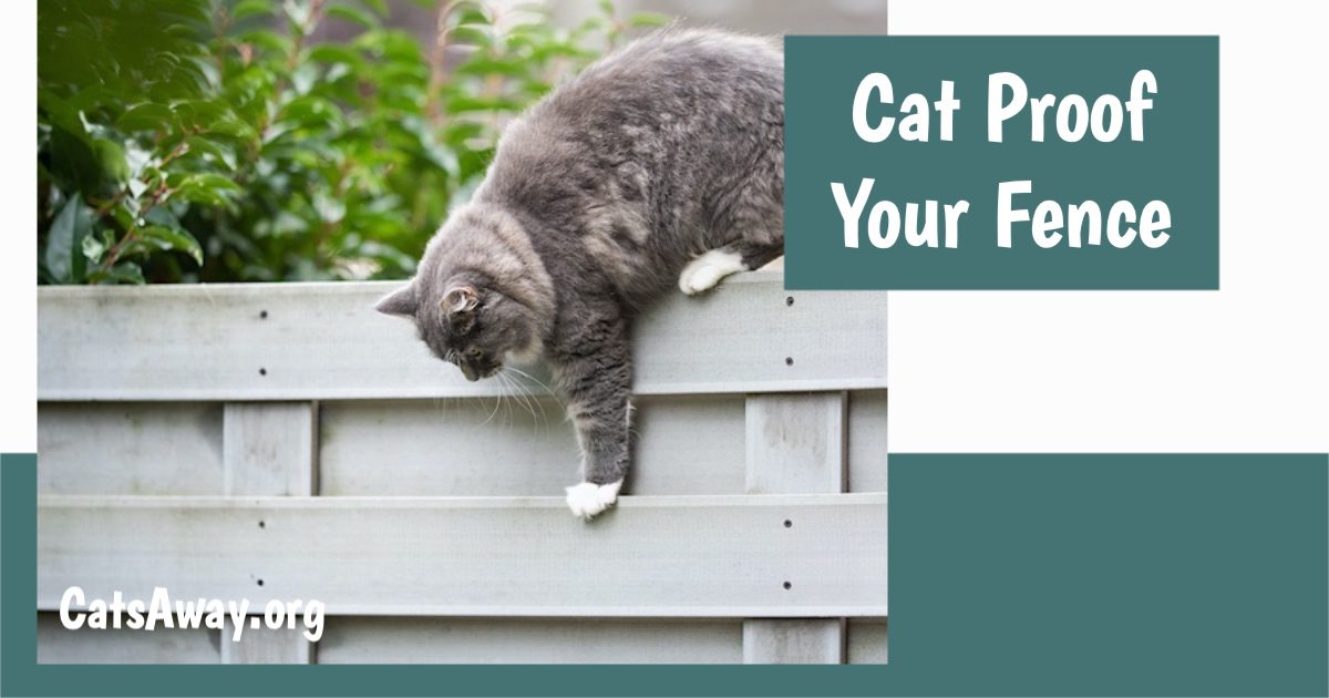 cat proof your fence
