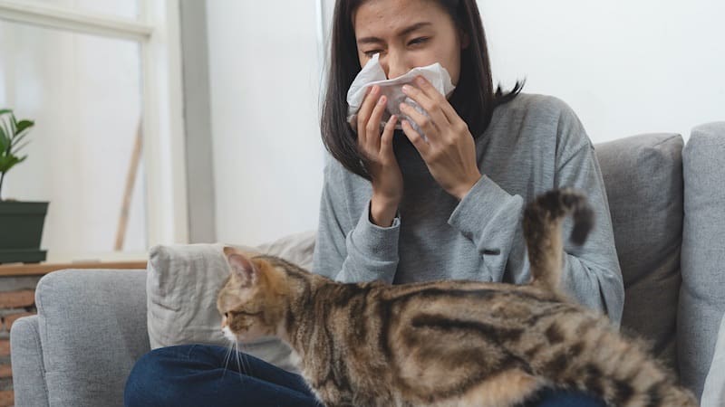 How To Get Rid Of Cat Allergies Naturally