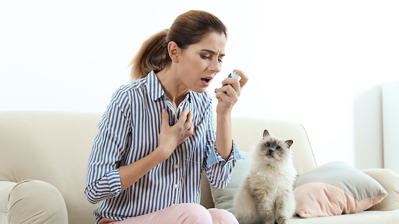 cat allergy symptoms