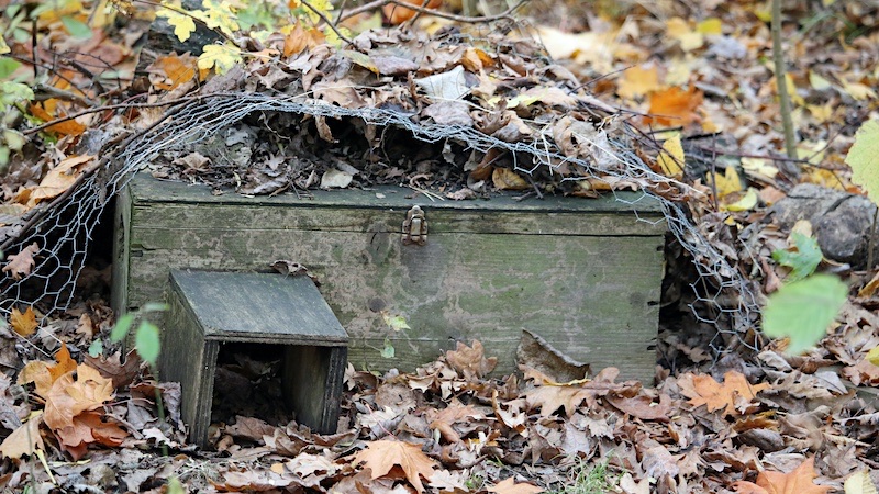 hedgehog house protected by chicken wire laid over the top