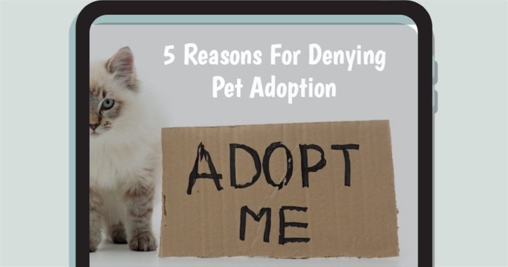 5 Reasons For Denying Pet Adoption: What You Need to Know