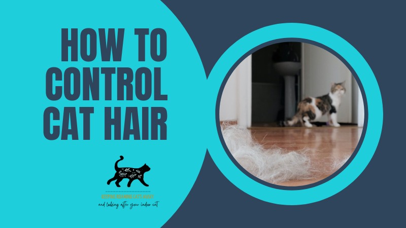 how to control cat hair in your home