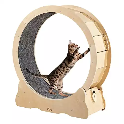 SMART HACKS Cat Wheel