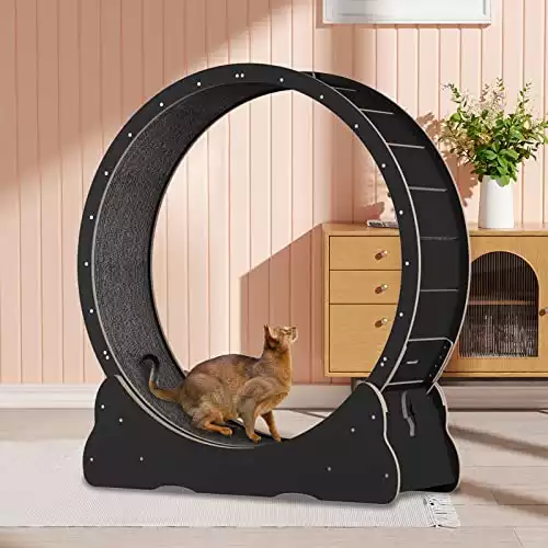 Cat Exercise Wheel for Indoor Cats