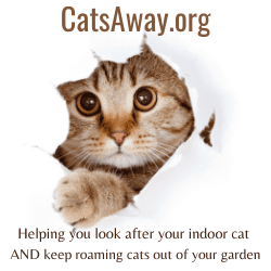 CatsAway.org