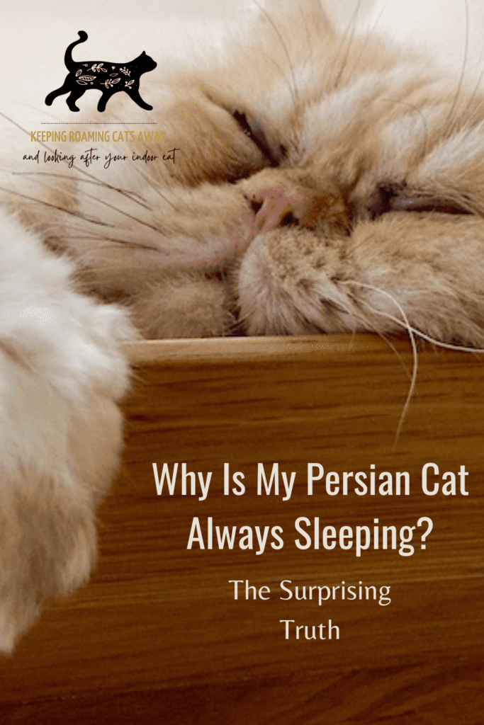 why do Persian cats sleep so much
