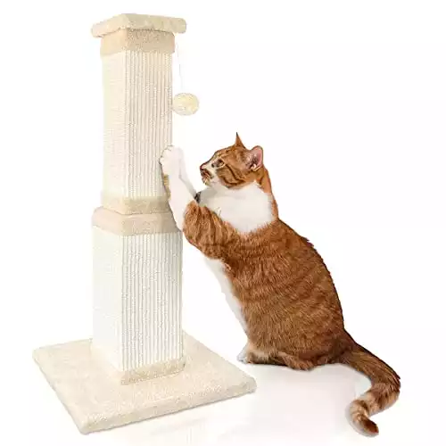 AGYM Cat Scratching Post