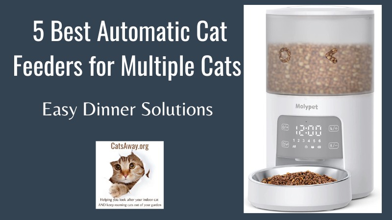 Automatic Cat Feeder for Multiple Cats