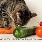 How to Cook Zucchini for Cats