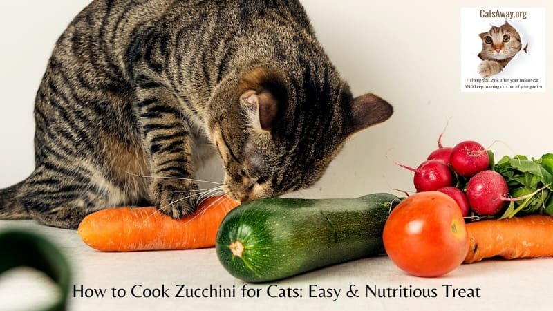 How to Cook Zucchini for Cats