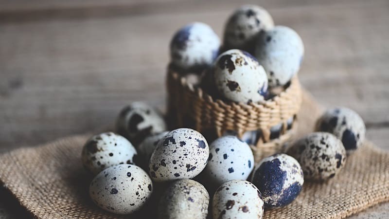 Understanding Quail Eggs and Their Nutrients