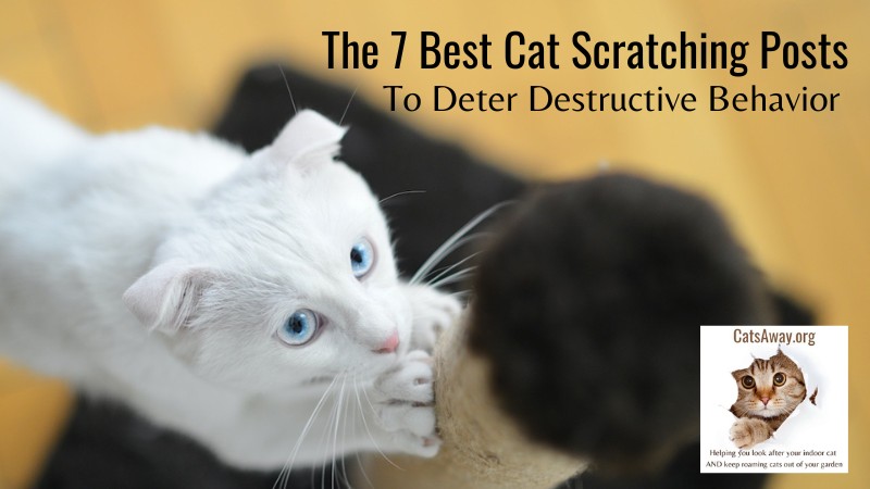 The 7 Best Cat Scratching Posts