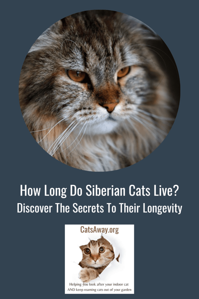how long do siberian cats live