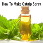 How To Make Catnip Spray