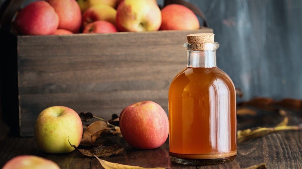 how to give apple cider vinegar to cats