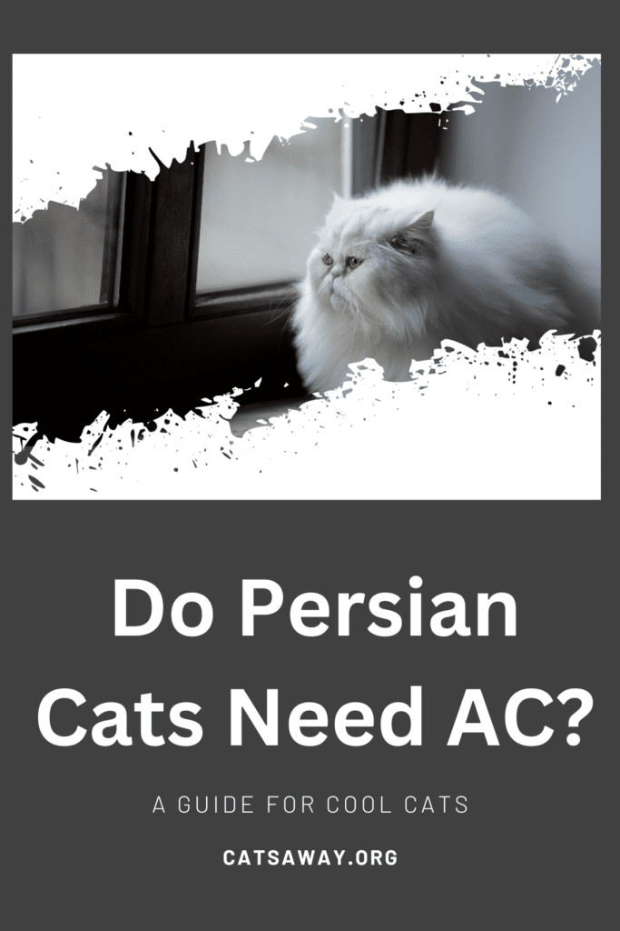 Do Persian Cats Need AC?